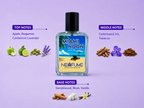 MIAMI NOON | NEXFUME | 50ml