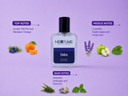 EVERA | NEXFUME | 50ml